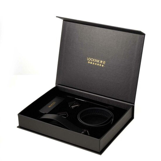 Luxe Halsband met Riem Set Zwart